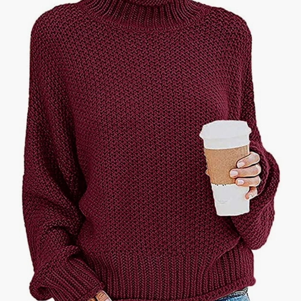 Zesica turtleneck batwing chunky knitted pullover